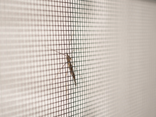 mosquito net wire screen on house window protection against insect Reja De Acero Florencia